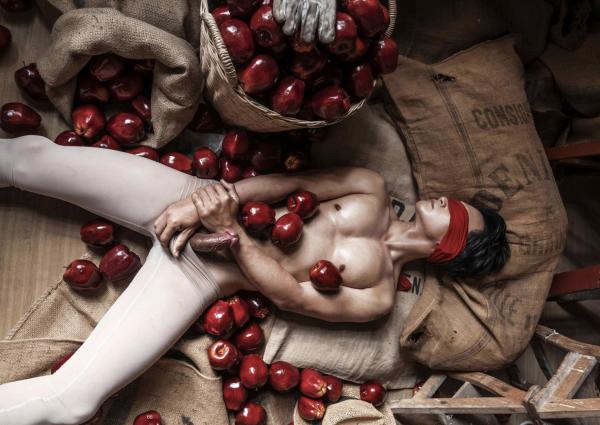 XPERIMENT-16--The-Apple-Picker